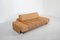 Vintage Swiss Daybed Sofa by Ernst Lüthy, 1960s, Image 3