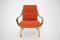 Beech Armchair, Former Czechoslovakia, 1960s 4