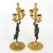 Charles X Candelabras in Patinated and Gilded Bronze, Set of 2 3