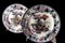 Chinoserie Style Noma Pattern Plates from Ridgway, 1835, Set of 2 6