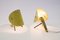 Vintage German Table Lamps by Ernest Igl for Hillebrand, 1950s, Set of 2, Image 11