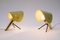 Lampes de Bureau Vintage par Ernest Igl pour Hillebrand, Allemagne, 1950s, Set de 2 2