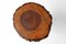 Taburete de tronco de árbol vintage, 1940, Imagen 6