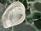 Jarrón de cristal de Murano blanco, años 80, Imagen 3