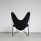 Butterfly Chair im Hardoy Stil von De Beijenkorf, Niederlande, 1950er 5