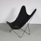 Butterfly Chair im Hardoy Stil von De Beijenkorf, Niederlande, 1950er 1