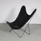 Hardoy Style Butterfly Chair from De Beijenkorf, Netherlands, 1950s, Image 1