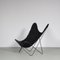 Hardoy Style Butterfly Chair from De Beijenkorf, Netherlands, 1950s, Image 2