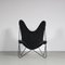 Hardoy Style Butterfly Chair from De Beijenkorf, Netherlands, 1950s 6