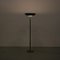 Uplighter Floor Lamp, the Netherlands, 1930s 3