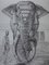 Paul Jouve, Elefant aus dem Shiva-Tempel, Gravur 3