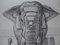 Paul Jouve, Elefante del tempio di Siva, incisione, Immagine 5