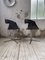 Office Armchairs from Knoll Inc. / Knoll International, 1960s, Set of 2 30