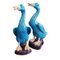 Porcelain Ducks Glazed with Turquoise Blue, 1890s, Set of 2 1