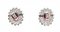 Rubies, Diamonds and 18 Karat White Gold Earrings, Set of 2 3