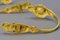 French Rococo Style Gilt Bronze Curtain Tiebacks or Curtain Holders, 1890s, Set of 4 13