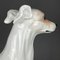 Large Ceramic Sculpture of Dog from Bassano, 1980s 6