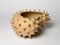 Large Spiked Bowl by Julie Bergeron 3
