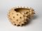 Large Spiked Bowl by Julie Bergeron, Image 3