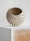 Large Spiked Shell Bowl by Julie Bergeron 3