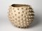 Large Spiked Shell Bowl by Julie Bergeron, Image 1