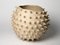 Large Spiked Shell Bowl by Julie Bergeron 2