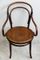 Large Bent Wood Armchair with Floral Seat, 1910s 1