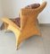 Set of Jungle Style Lounge Chair with Ottoman from Rolf Benz, Image 3