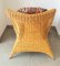 Set of Jungle Style Lounge Chair with Ottoman from Rolf Benz, Image 2