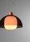 Vintage Italian Hanging Lamp from Stilnovo, 1970 2