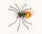 Mid-Century Spider Wall Lamp Sconce in Copper, Iron and Art Glass, Italy, 1970s, Image 3