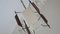 Schwarze Italienische String Hängelampe aus Metall & Teak, 1950er 8