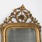 19th Century Louis Philippe Mirror with Foliage and Grape Motifs 3
