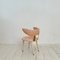 Armchairs by Umberto Mascagni, 1954, Set of 2, Image 15