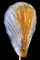 Fåglavis Glasbruk Muschelförmige Wandlampe aus Glas & Messing, 1960er 3