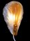 Fåglavis Glasbruk Muschelförmige Wandlampe aus Glas & Messing, 1960er 4