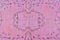Alfombra de Anatolia tejida a mano en rosa, años 60, Imagen 7