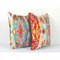 Coussins Ikat en Velours de Soie, Set de 2 2