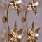 Brass Double Flower Wall Light in the style of Willy Daro, 1970s 12