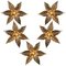 Brass Double Flower Wall Light in the style of Willy Daro, 1970s 20