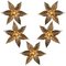 Brass Double Flower Wall Light in the style of Willy Daro, 1970s, Image 20