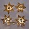 Brass Double Flower Wall Light in the style of Willy Daro, 1970s 15