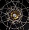 Antique Italian Giltwood and Crystal Chandelier, 1760 10