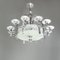 Austrian Art Deco Chandelier with Twelve Lights in Metal and Glass, 1920s 4