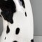 Modern Italian Black White Ceramic Harlequin Great Dane Dog Sculpture, 1980s 14