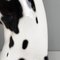 Moderne italienische Schwarzweiße Keramik Harlekin Dogge Dog Skulptur, 1980er 14