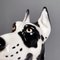Escultura de perro gran danés arlequín italiana moderna de cerámica, años 80, Imagen 10