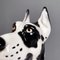 Modern Italian Black White Ceramic Harlequin Great Dane Dog Sculpture, 1980s 10