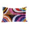 Colorful Silk Ikat Velvet Cushion with Asymmetric Design, Image 1