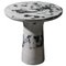 Marbled Salts Dining Table by Roxane Lahidji 1